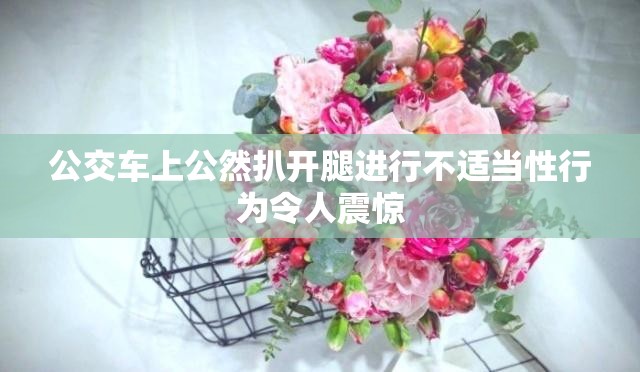 公交車上公然扒開腿進行不适當性行爲令人震驚